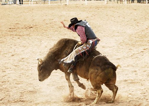 http://www.virginexperiencegifts.com/blog/wp-content/uploads/2016/08/15-bull-riding-school-for-men-who-have-everything.jpg