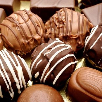 Sweet Curiosities: Where Does Chocolate Come From?
