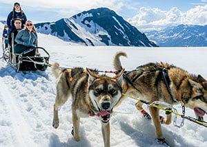 dog sledding - things to do outside