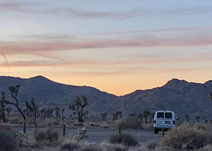 Palm Springs