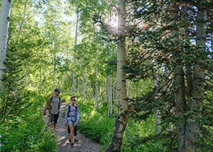 couple hiking through a forest