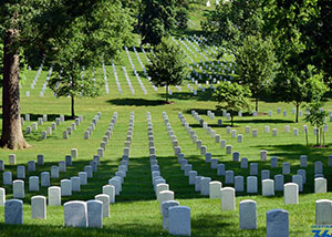 Arlington Cemetery