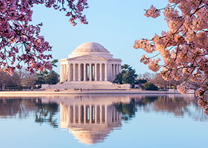 Most Scenic Spots in the US - Tidal Basin