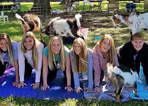 Goat Yoga - Anniversary Date Ideas