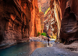 Most Scenic Spots in the US - Zion