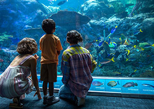 Earth Day Activities - Aquarium of the Pacific