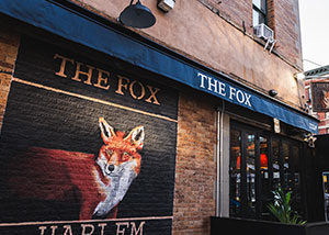Best Restaurants in NYC - The Fox