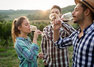 Your Guide to California Wine Country: Napa Valley and Sonoma County
