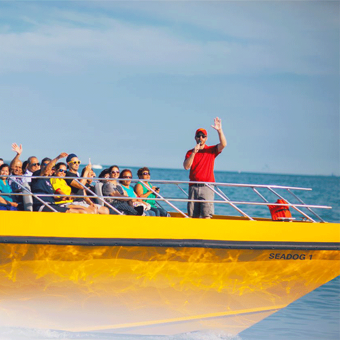 Lakefront Speedboat Tour