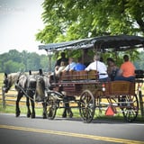Guided Battlefield Carriage Tour