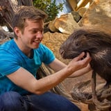 Man touching porcupine