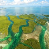 Take a Helicopter Flight Over Key West