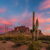 Arizona Photography Experience
