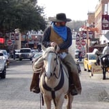 Exploring Fort Worth during Tour