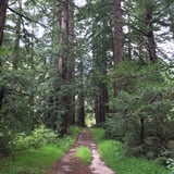 Half-Day Hiking