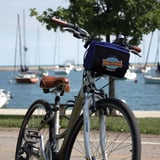 Tour of Chicago on Bike