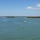 Bird Island Kayak Tour