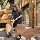 Capybara Experience in FL