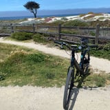 Bike Tour for Half Day
