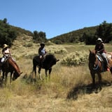 Horseback Riding Experience