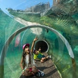 Visit the Miami Zoo