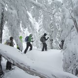 Group Snowshoeing in Snow Covered Mountains 