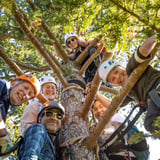 Group posing on tree