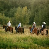 Group riding through field