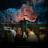 People viewing T.rex
