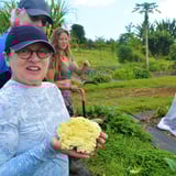 Farm Tour