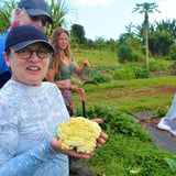 Farm Tour