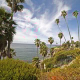 Laguna Beach Tour