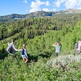 Group Hiking Tour