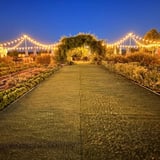 Farm at night