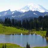 Amazing Landscape at Mt Rainier in Portland