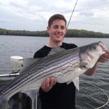 Striped Bass Fishing Charter in Nashville