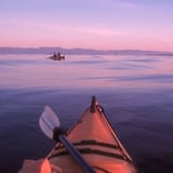 San Juan Island Kayak Tour in Seattle