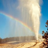 Yellowstone Private Tour