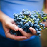 Wine Grapes