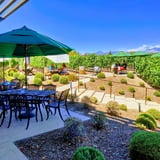 Outdoor Area Surrounded by Vineyard