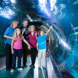 Family at aquarium