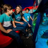 Sealife with Family