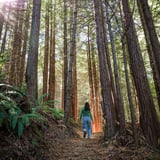 Woman in Forest Hiking