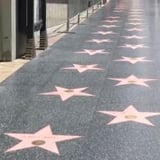 Hollywood tour