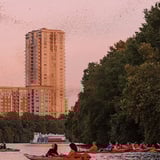 Kayak tours