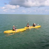 Sea Kayaking in Key West