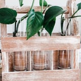 Weathered Wood Plant Caddy