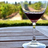 Wine Tasting in Sonoma