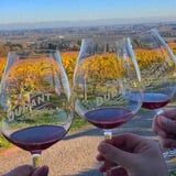Wine glasses over looking vineyard