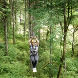 Treetop Zipline Experience near Portland 